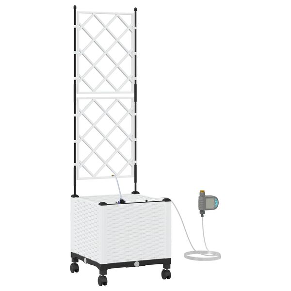 A apresentar a imagem do produto 1 de 7