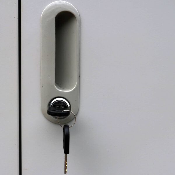 vidaXL Arm&aacute;rio com Locker Cinzeto 45 x 90 x 180 cm