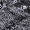 vidaXL Tapete shaggy de pelo alto NAVARRA 160x160 cm cinzento-escuro