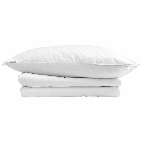 vidaXL Edredom de Ver&atilde;o Simples 2 pcs Branco Pena de ganso