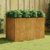 vidaXL Canteiro elevado de jardim 120x80x80 cm a&ccedil;o corten