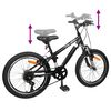 vidaXL Kids Mountain Bike 20 Polegadas 6-Speed para 5-8 anos Preto