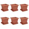 vidaXL Vasos de Plantas 6 unid. Vermelho Tijolo Pl&aacute;stico