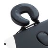vidaXL Mesa de massagem dobr&aacute;vel 4 zonas alum&iacute;nio preto e branco