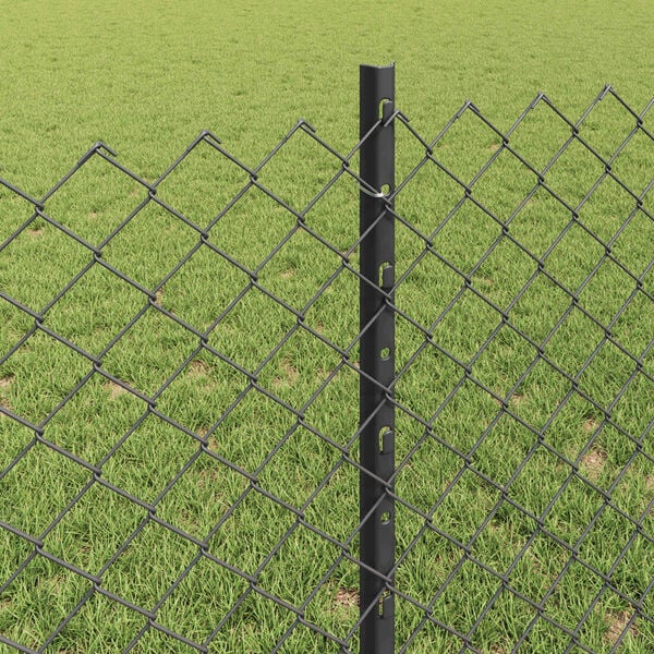 A apresentar a imagem do produto 4 de 9