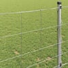 vidaXL Cerca de campo Prateado 50 x 1 m A&ccedil;o galvanizado