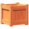 vidaXL Vaso/floreira de jardim 31x31x31 cm pinho maci&ccedil;o castanho cera