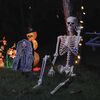 Imagem em miniatura do produto 2 de 8