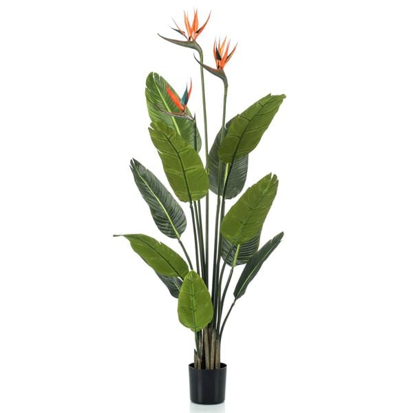 Emerald Planta estrel&iacute;cia artificial em vaso com flores 120 cm