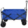 vidaXL Carrinho de M&atilde;o Dobr&aacute;vel Manual Azul 89 x 63 x 96 cm