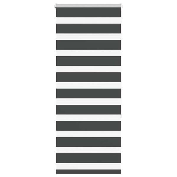 vidaXL Cortina de zebra 55x150 cm largura do tecido 50,9 cm poli&eacute;ster