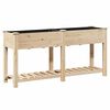 vidaXL Vaso de Jardim Bege 161 x 43 x 76,5 cm Madeira de Fir S&oacute;lida