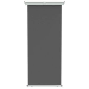 vidaXL Toldo Lateral de Varanda 100% poli&eacute;ster, ferro e a&ccedil;o