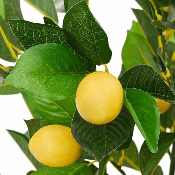 A apresentar a imagem do produto 3 de 5