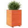 vidaXL Vaso/floreira de jardim 50x50x72 cm pinho maci&ccedil;o castanho mel