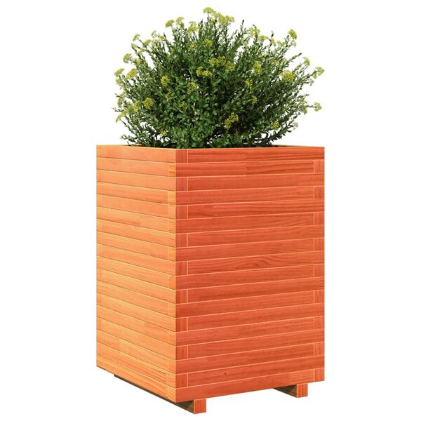 vidaXL Vaso/floreira de jardim 50x50x72 cm pinho maci&ccedil;o castanho mel