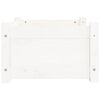 vidaXL Cama para cães branca 55,5x45,5x28 cm madeira de pinho maciça