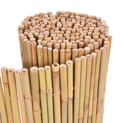 vidaXL Cerca de bambu 300x100 cm