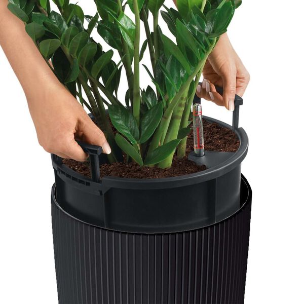 A apresentar a imagem do produto 4 de 9