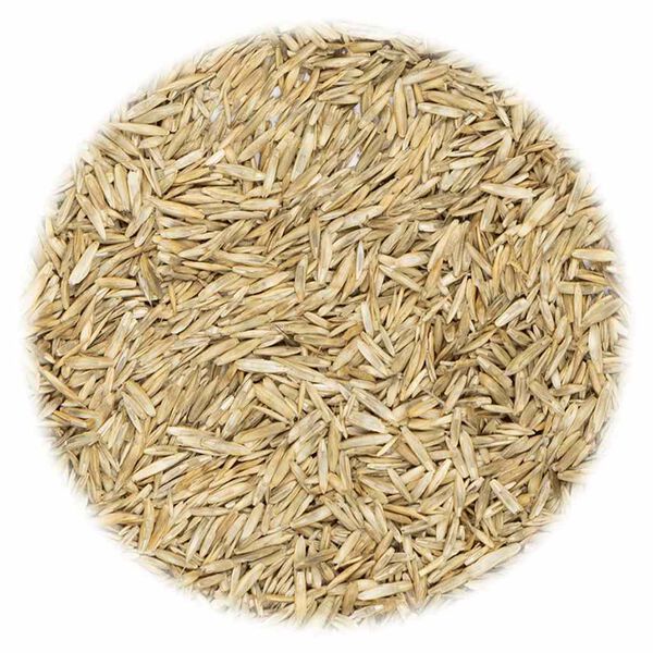 A apresentar a imagem do produto 3 de 3