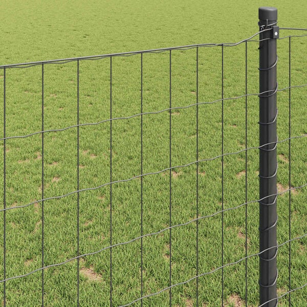 A apresentar a imagem do produto 4 de 9