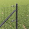 Imagem em miniatura do produto 4 de 16