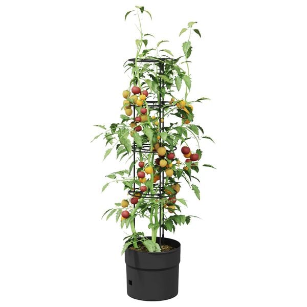 A apresentar a imagem do produto 3 de 5