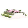Imagem em miniatura do produto 3 de 7