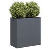 vidaXL Vaso/floreira 80x40x80 cm a&ccedil;o laminado a frio antracite