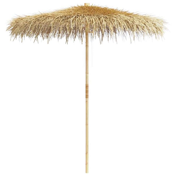 A apresentar a imagem do produto 1 de 12