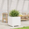 vidaXL Vaso/floreira de jardim 50x50x49,5 cm pinho maci&ccedil;o branco