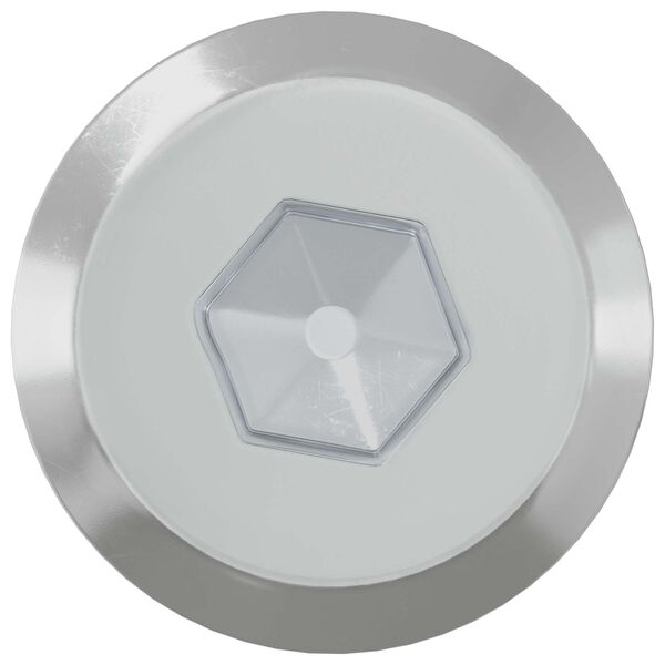 vidaXL Parafusos para M&oacute;veis 2 pcs Prateado M6 x 60 mm A&ccedil;o