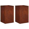 vidaXL Vaso de Jardim 2 unid. Ferro Enferrujado 30 x 30 x 50 cm