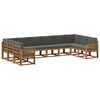vidaXL Conjunto de Sof&aacute;s para Exterior 10 unid. Natural e Antracite