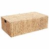 vidaXL Caixa de Armazenamento Natural 60 x 38 x 20 cm Jacinto de &aacute;gua