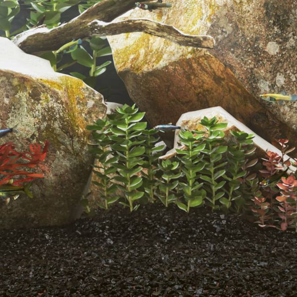 A apresentar a imagem do produto 2 de 5