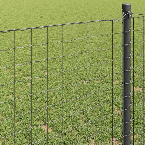 vidaXL Cerca Euro Cinzeto 1 x 25 m Ferro revestido de PVC