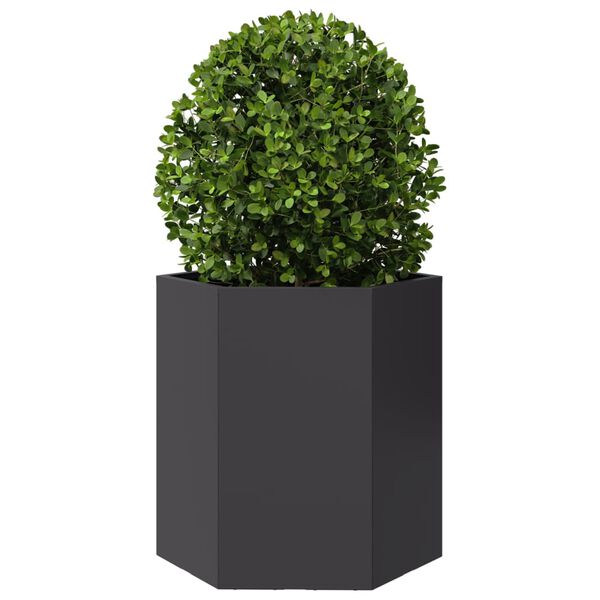 A apresentar a imagem do produto 3 de 10