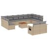 vidaXL 13 pcs conj. sof&aacute;s jardim c/ almofad&otilde;es vime PE bege misturado