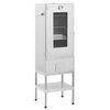 vidaXL Defumador com mesa a&ccedil;o galvanizado