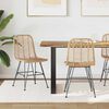vidaXL Cadeira de jantar 2 pcs Natural 44 x 47 x 85 cm Rattan e Ferro