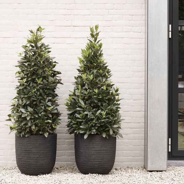 Capi Vaso oval Nature Row 35x34 cm preto PKBLRO932