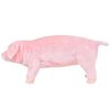 Imagem em miniatura do produto 2 de 5