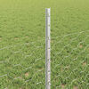 Imagem em miniatura do produto 4 de 13