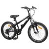 vidaXL Kids Mountain Bike 20 Polegadas 6-Speed para 5-8 anos Preto