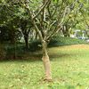 Imagem em miniatura do produto 2 de 7