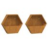 vidaXL Vasos/floreiras de parede 2 pcs a&ccedil;o corten cor enferrujado