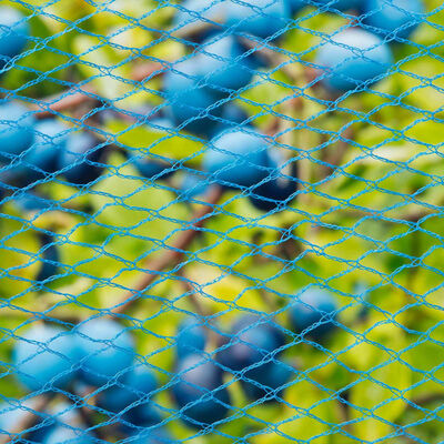 Nature Rede anti-pássaros Nano 10x4 m azul