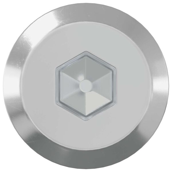 vidaXL Parafusos para M&oacute;veis 2 pcs Prateado M6 x 70 mm A&ccedil;o