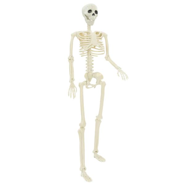 A apresentar a imagem do produto 4 de 8